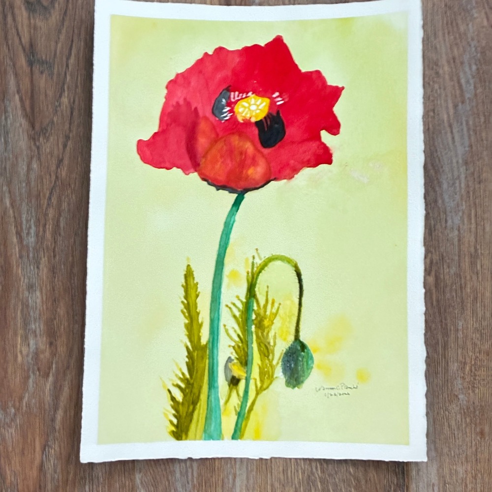 Single Poppy and Bud Warren C Plauché Original Watercolor Painting 11x15 2020